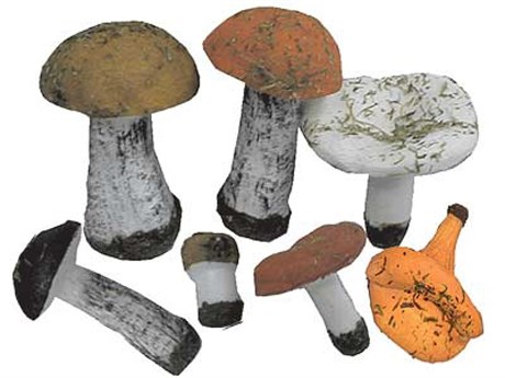 Набор муляжей грибов - фото 150271