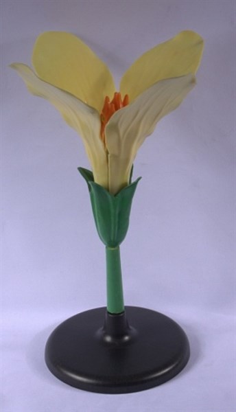 Модель Цветок капусты - фото 150280