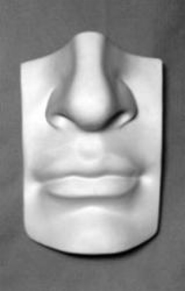 Гипсовая модель "Нос человека" - фото 59331