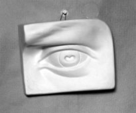 Гипсовая модель "Глаз человека" - фото 59337