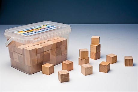 Игровой набор Фребеля "Кубики" (96 шт., бук, серия "Красота вокруг нас") - фото 60564