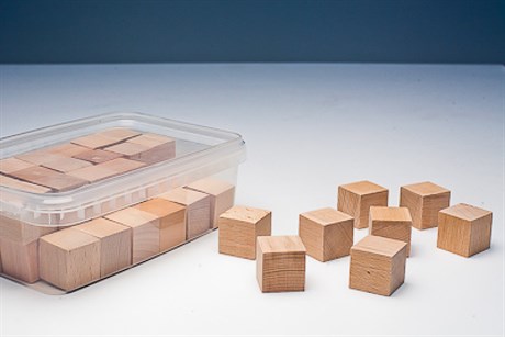 Игровой набор Фребеля "Кубики" (48 шт., бук, серия "Красота вокруг нас") - фото 60565