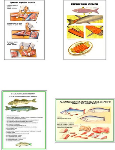 Плакаты ПРОФТЕХ "Разделка и обработка рыбной продукции" - фото 62212