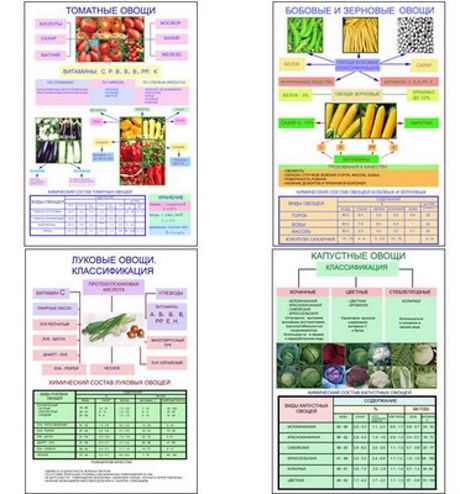 Плакаты ПРОФТЕХ "Классификация овощей" - фото 62238