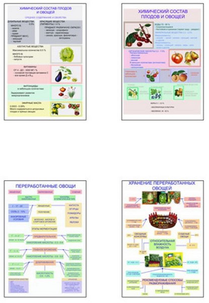 Плакаты ПРОФТЕХ "Классификация овощей и переработка" - фото 62239
