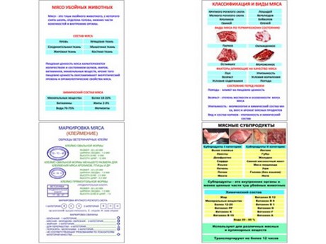 Плакаты ПРОФТЕХ "Классификации и виды мяса" - фото 62240
