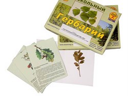 Гербарий "Растительные сообщества. Лес" (9 видов, 10 планшетов, с иллюстрациями и фотографиями) - фото 732418