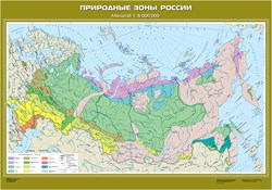 Карта Природные зоны России ( с новыми регионами РФ) - фото 733812