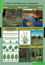 Комплект таблиц. Биология. Растения и окружающая среда (7 таблиц)