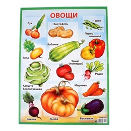 Плакат "Овощи"