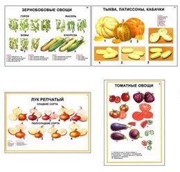 Плакаты ПРОФТЕХ "Ассортимент овощных культур"