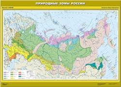 Карта "Природные зоны России" Начальная школа (с новыми регионами РФ)