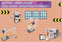 Веселая лаборатория: STEM набор Юный программист FL-PROG-10