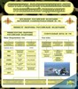 Стенд Структура вооруженных сил РФ - фото 59426