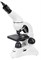 Микроскоп Levenhuk Rainbow D50L PLUS, 2 Мпикс, Moonstone\Лунный камень - фото 732909